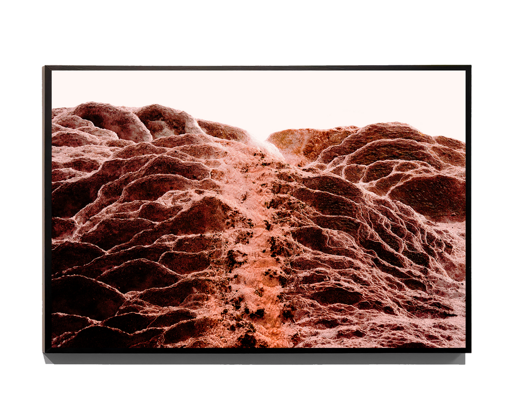 Soil Reveries - Fine Art Print