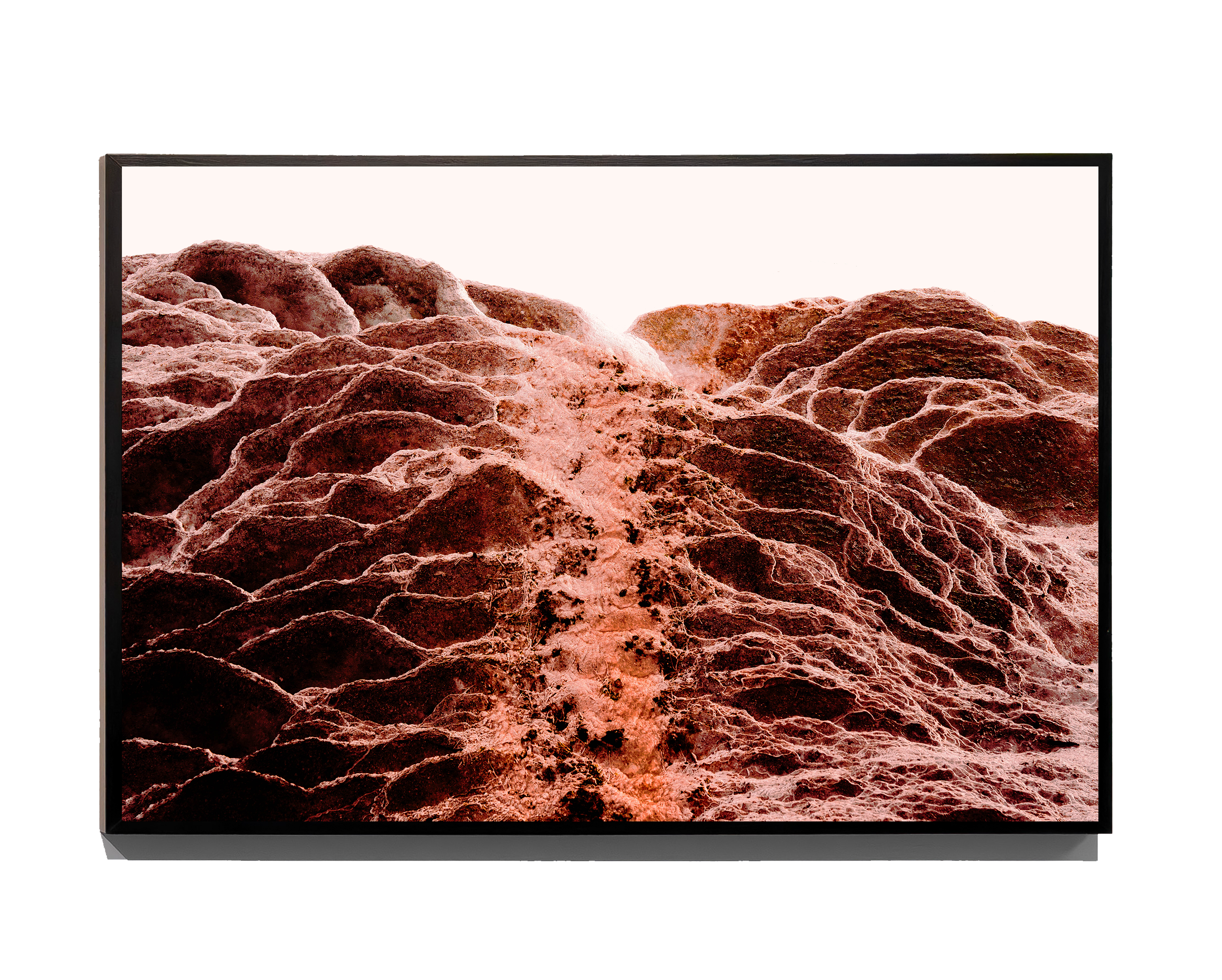 Soil Reveries - Fine Art Print