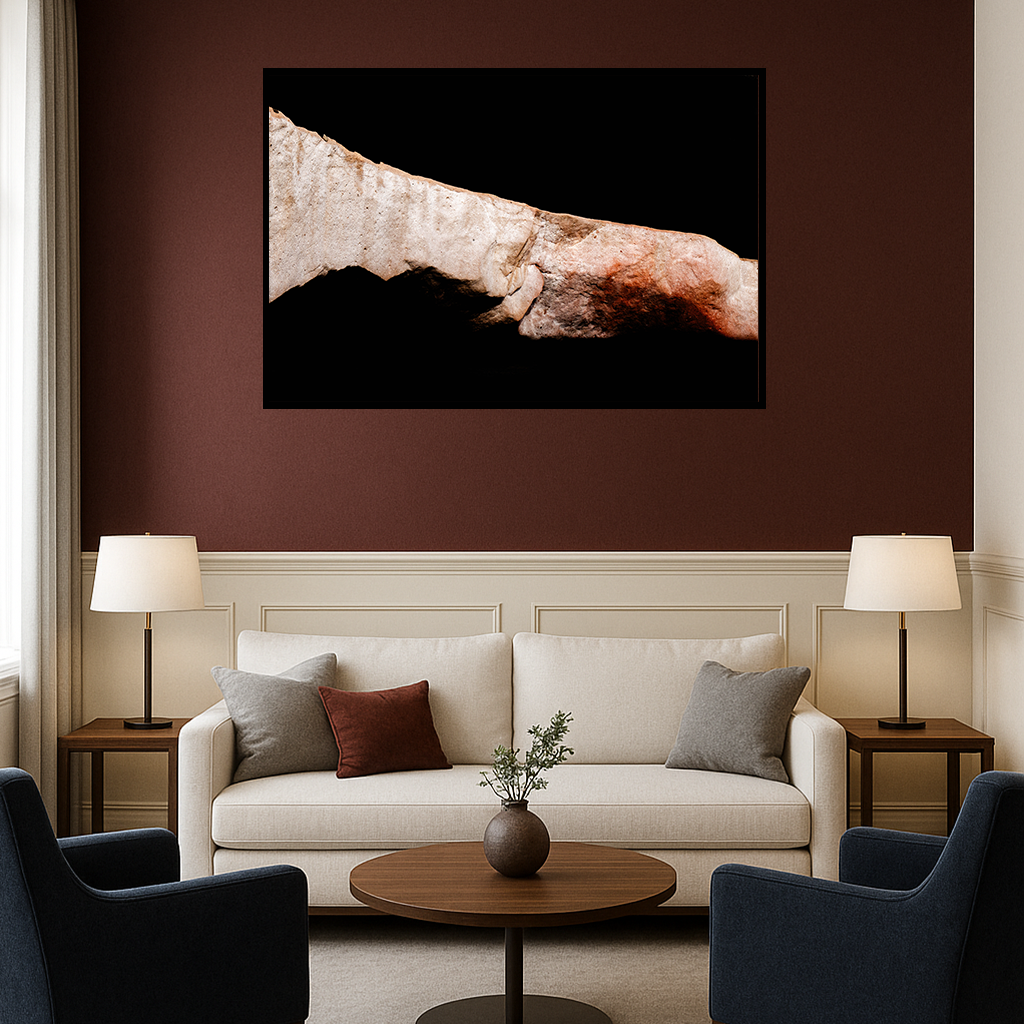 Sediment of Dreams - Fine Art Print