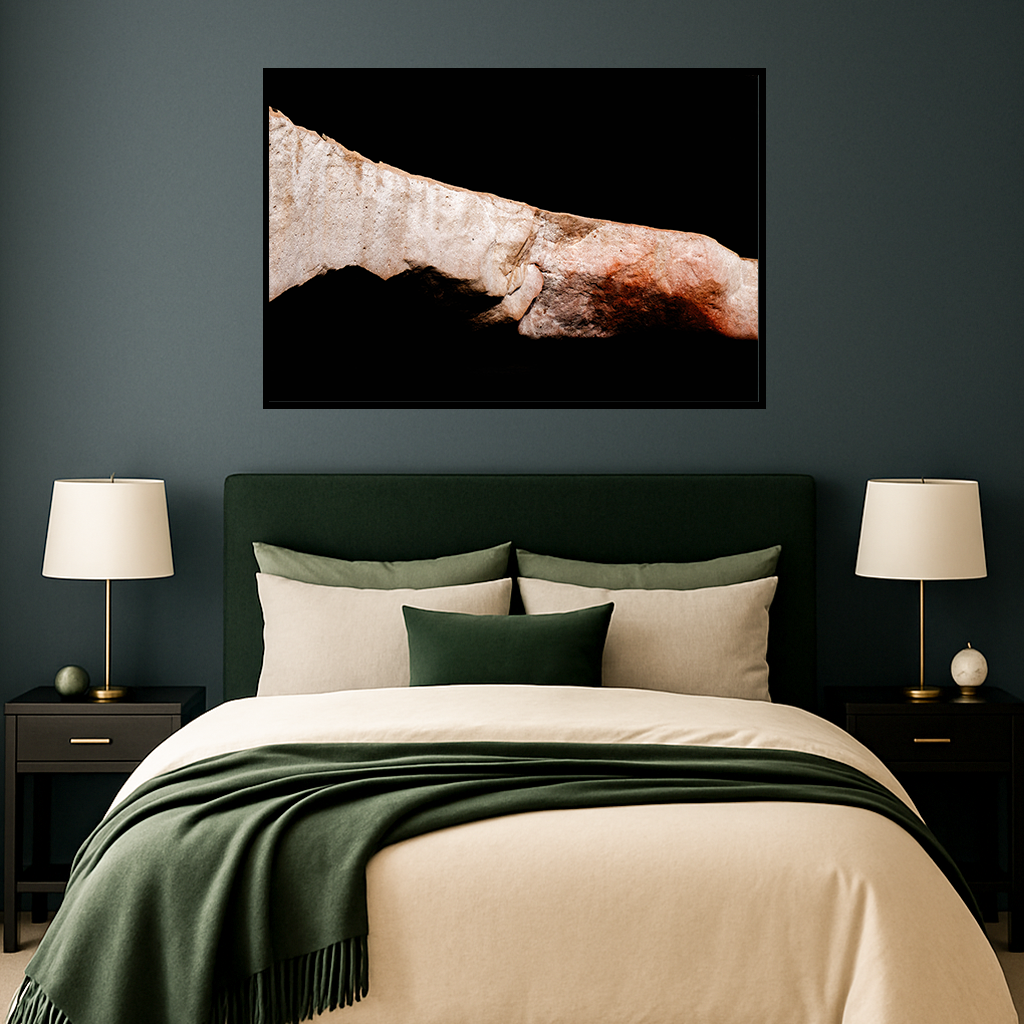 Sediment of Dreams - Fine Art Print