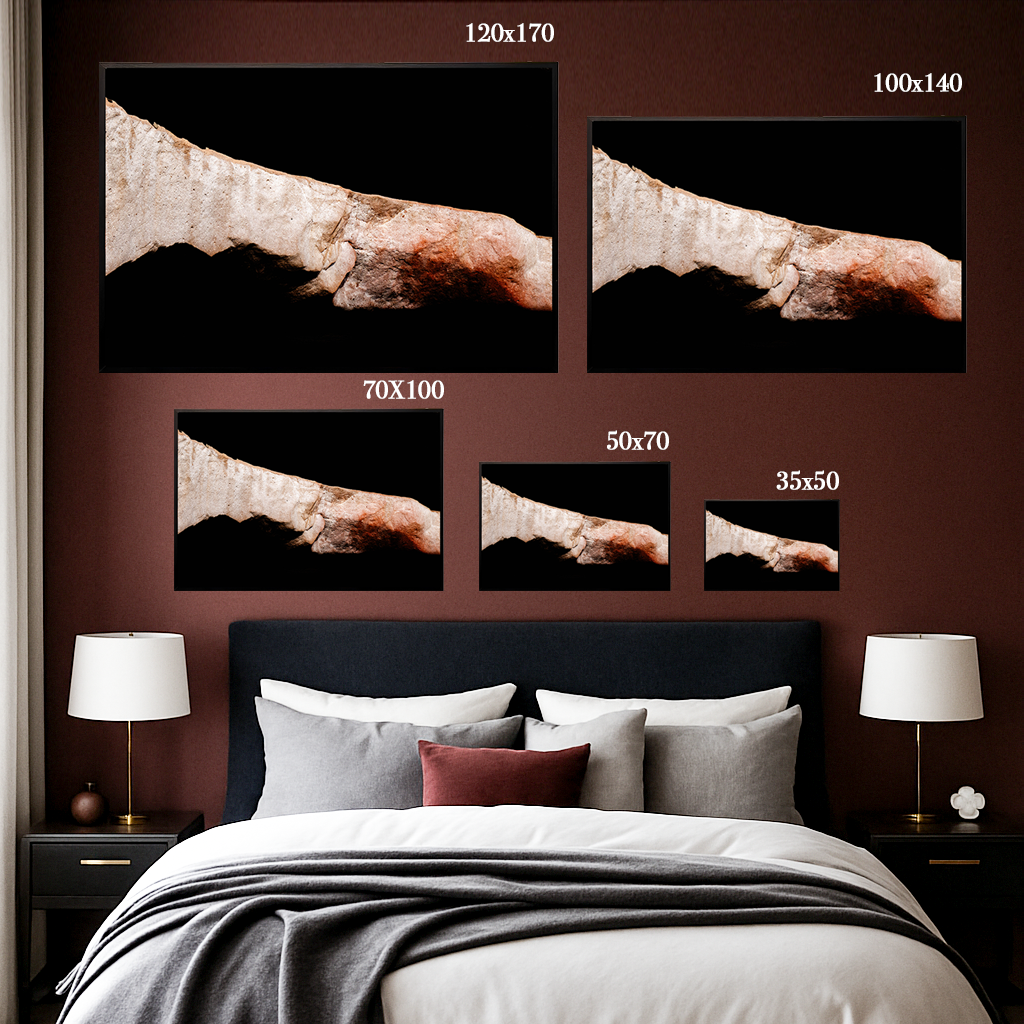 Sediment of Dreams - Fine Art Print