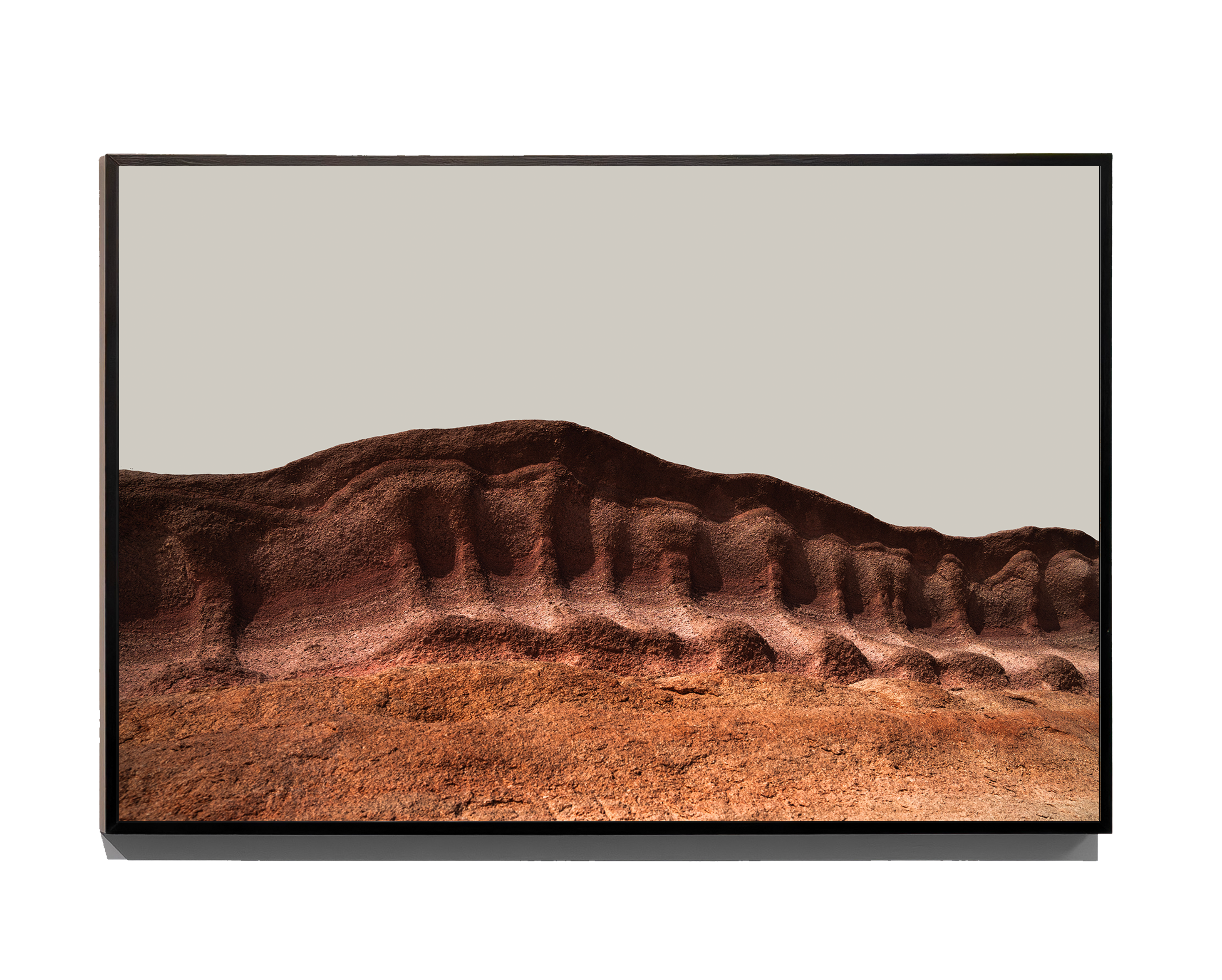 Clam - Fine Art Print