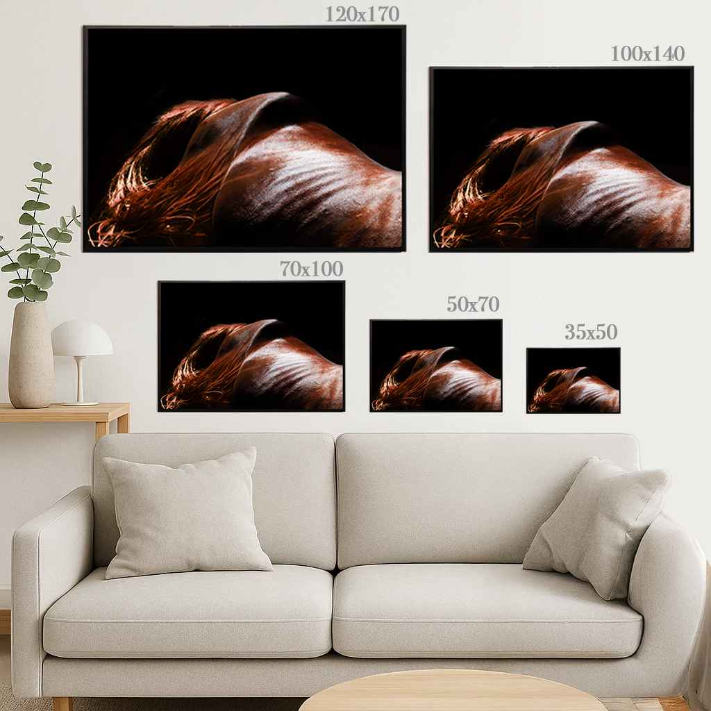 In the Gap - Fine Art Prints