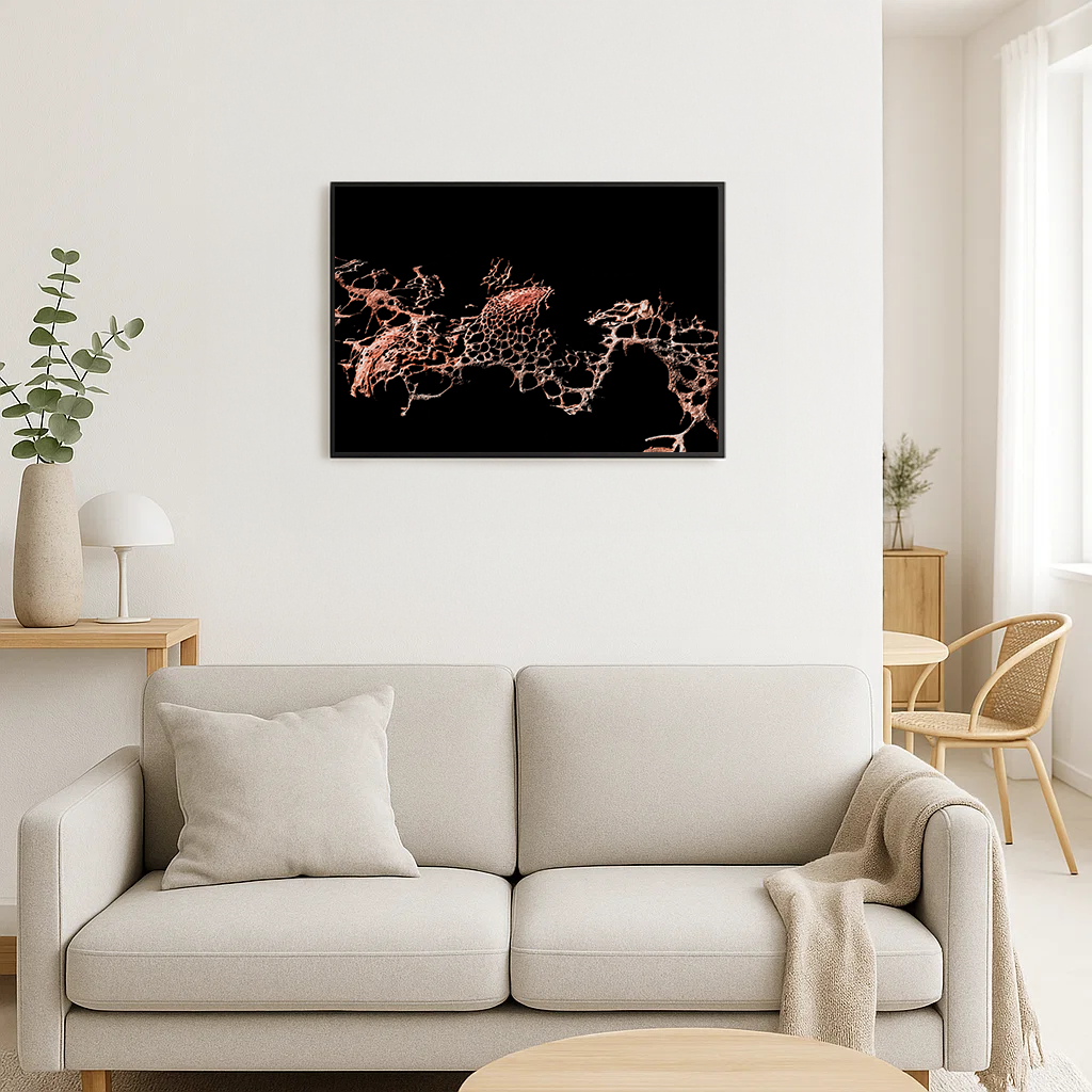 Porous - Fine Art Print