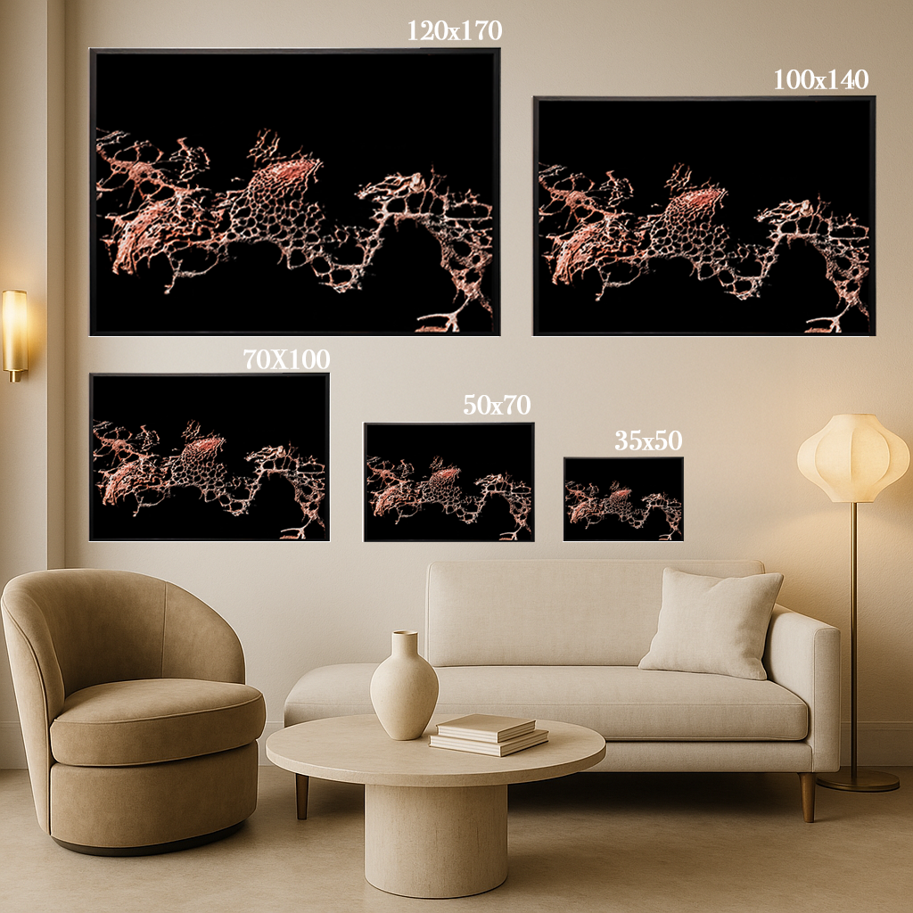 Porous - Fine Art Print
