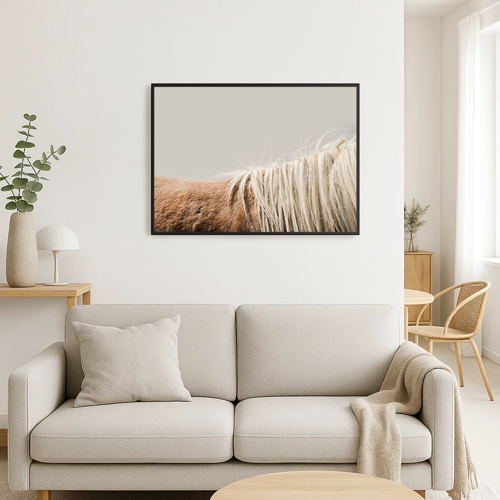 Shell - Fine Art Print