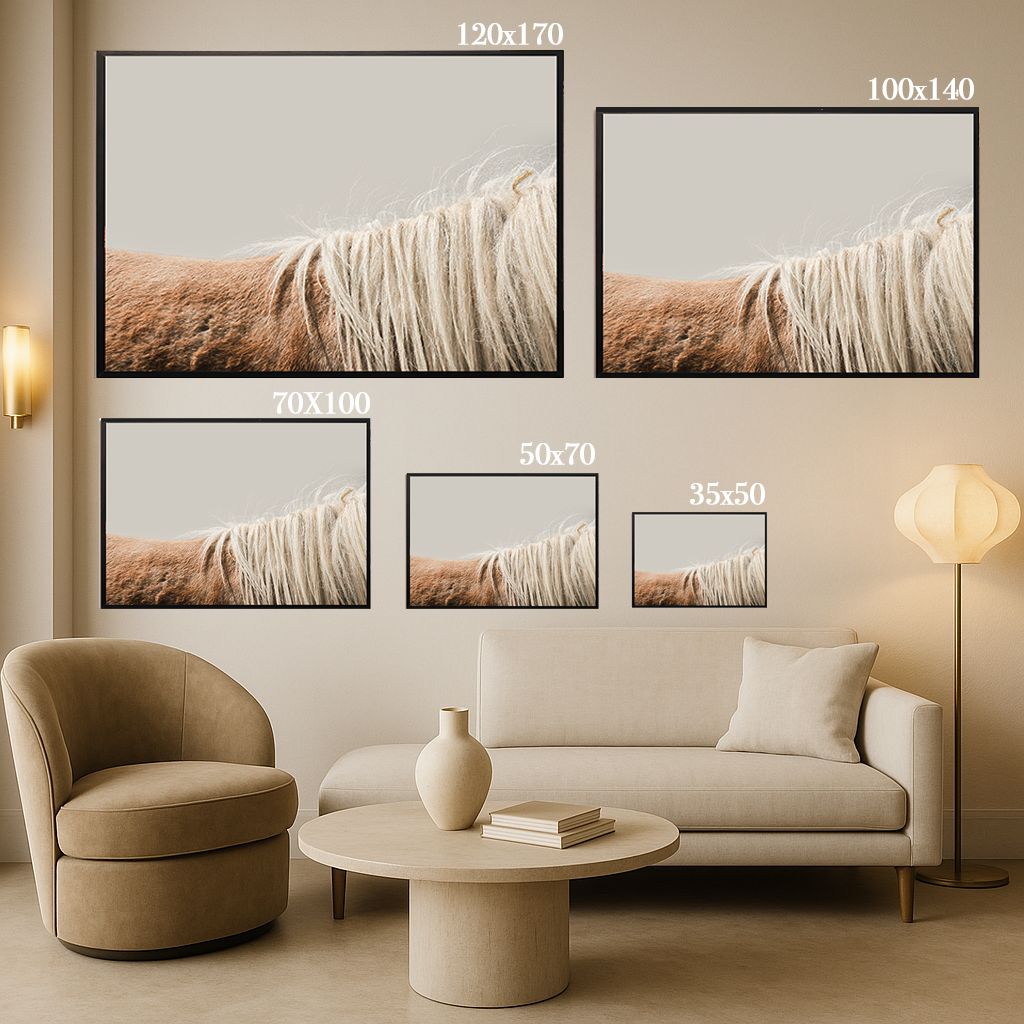 Shell - Fine Art Print