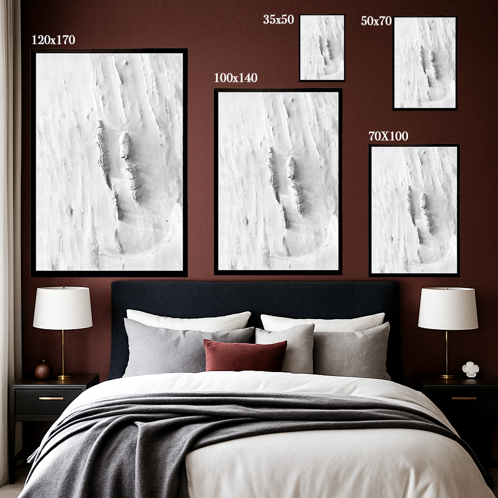 Suspended Realities - Fine Art Print