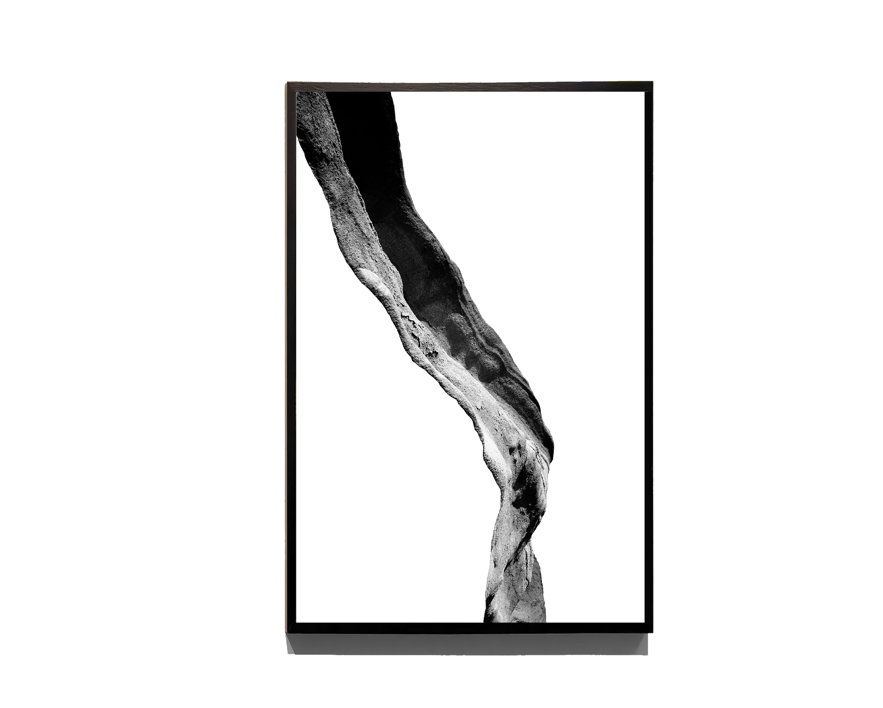Monochrome Body - Fine Art Print