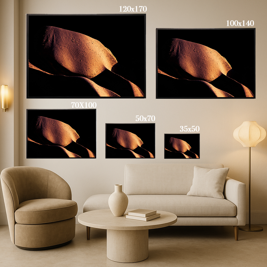 Curvy - Fine Art Print